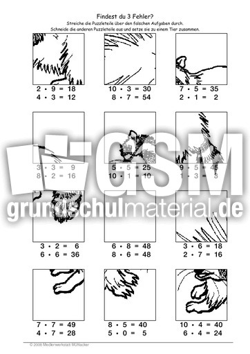 Waschbär.pdf